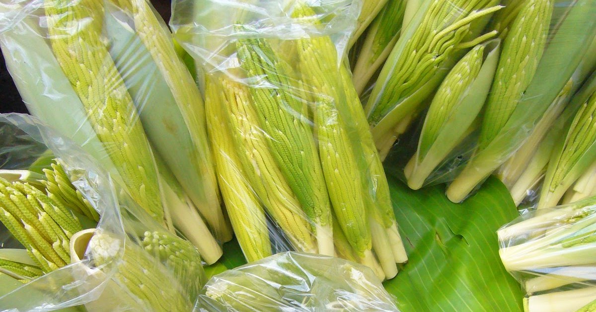 The Urban Foodie Pacaya Palm Flower Fritters