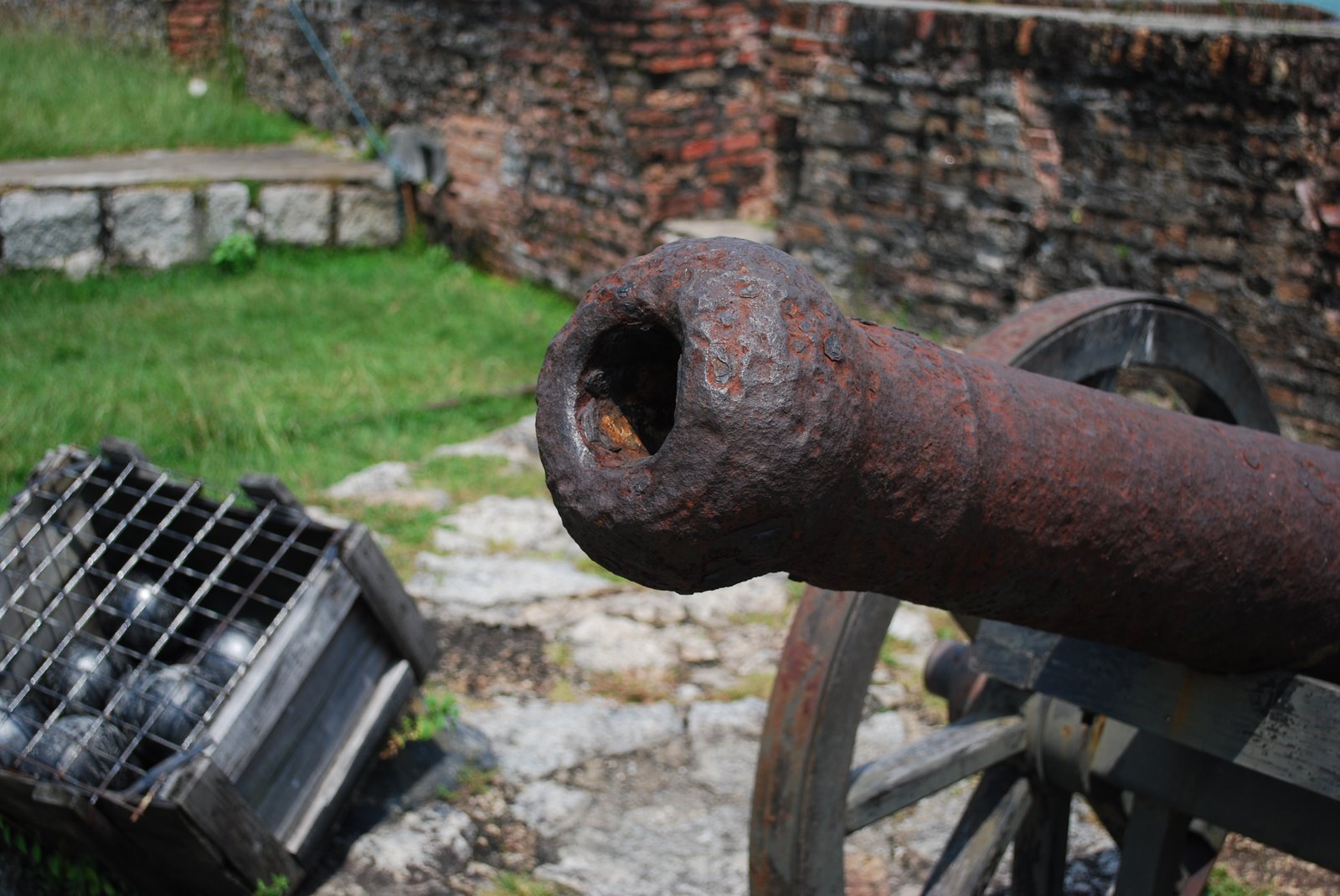 [DSC_1037_1664.JPG]