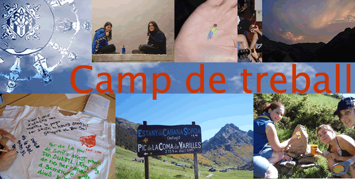 CAMP DE TREBALL