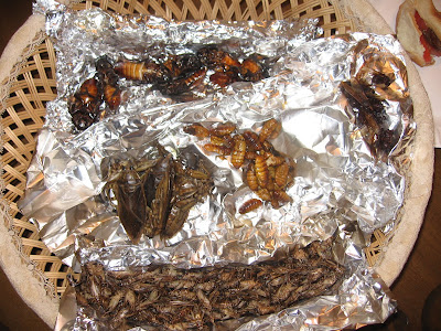 Bugs On Food