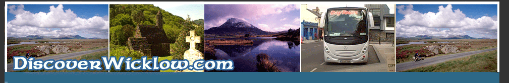 Day tours from Dublin to Wicklow Glendalough, Hill of Tara, Trim Castle , Howth fishing vi