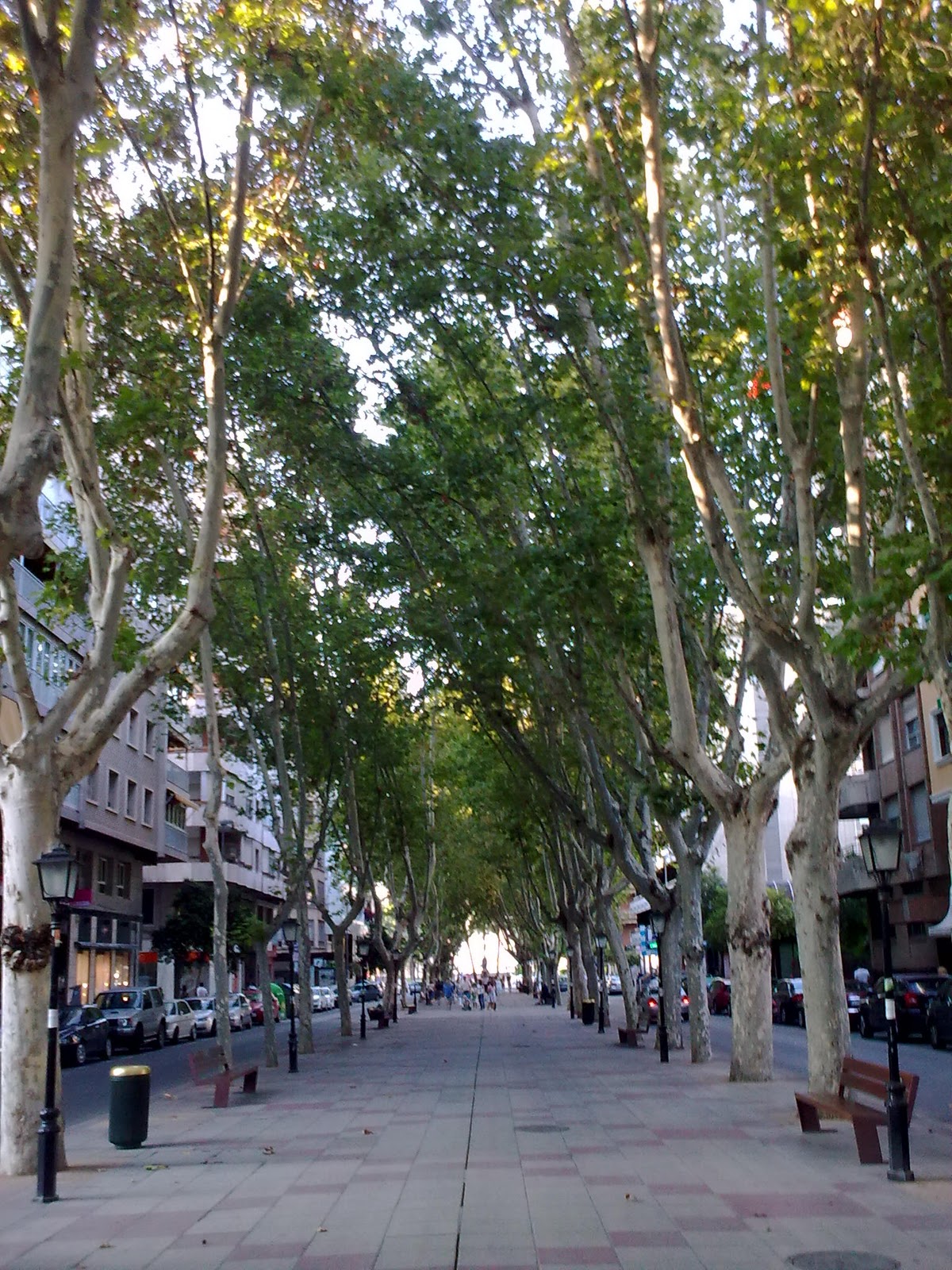 http://3.bp.blogspot.com/_NYvSE_cE9SU/TMCFqCQw4XI/AAAAAAAAA_g/9290YfkeYoc/s1600/Alfonso+X.jpg