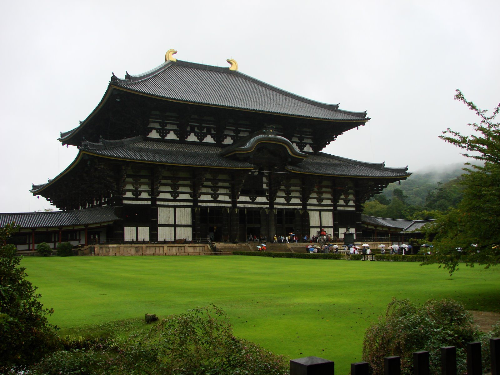 MsYang Todaiji Temple