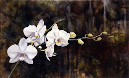 white orchid