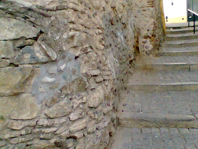 [Img046.jpg]