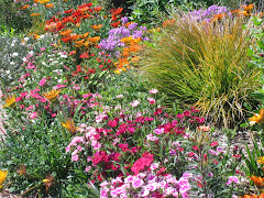 Spring Gardens
