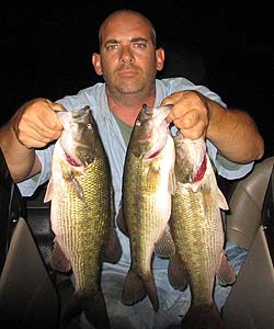 [altus-lugert-night-bass-2.jpg]