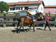 Riabilitazione equestre