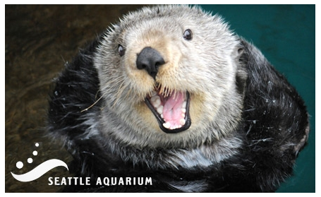 Today on Groupon Seattle you