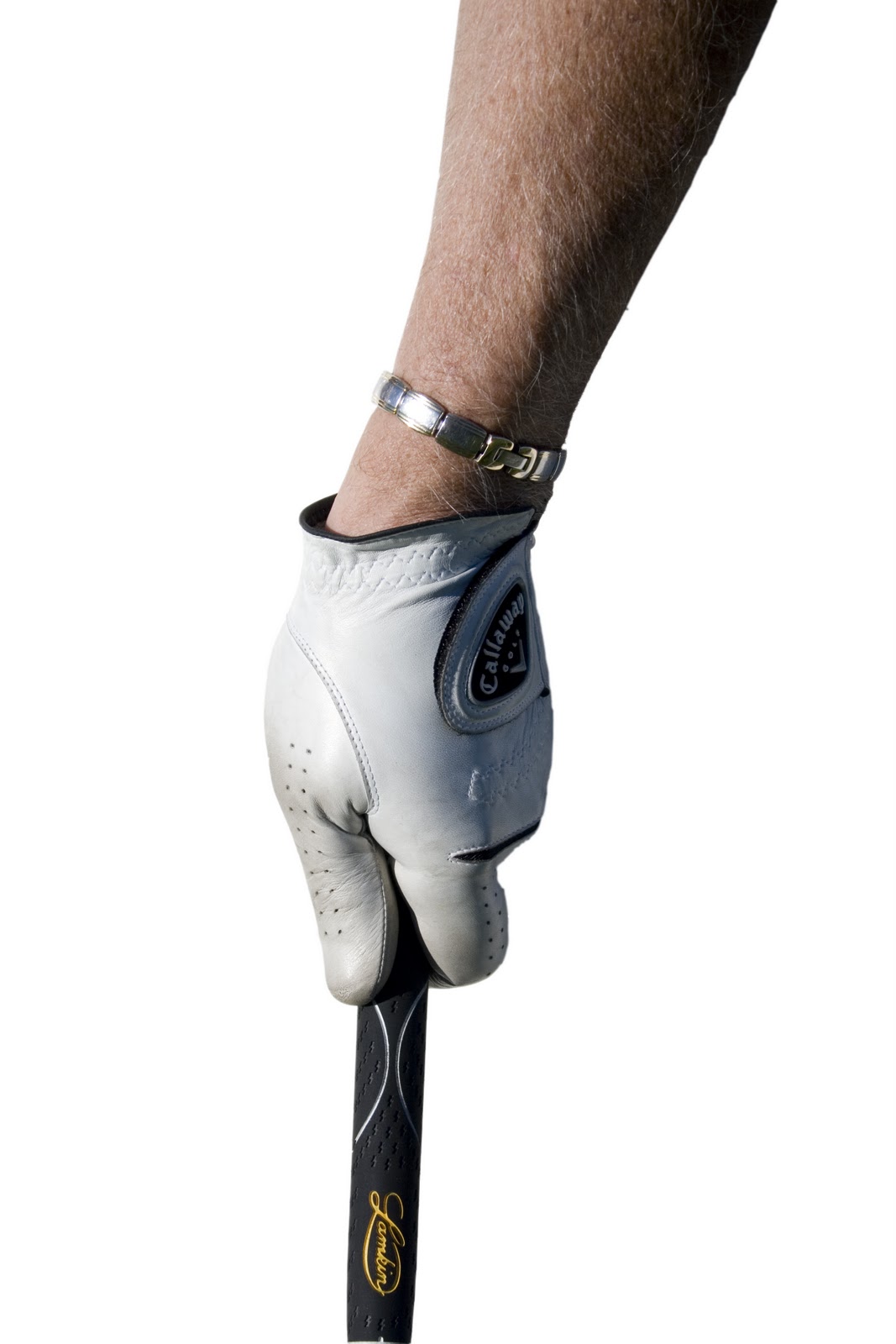 The Irish Golf Player