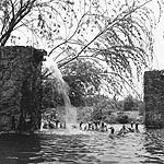 FUENTE CON PATOS EN JARDINES DEL PEDREGAL