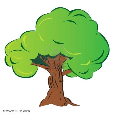 Onymous: Akar, cabang pokok dan buah