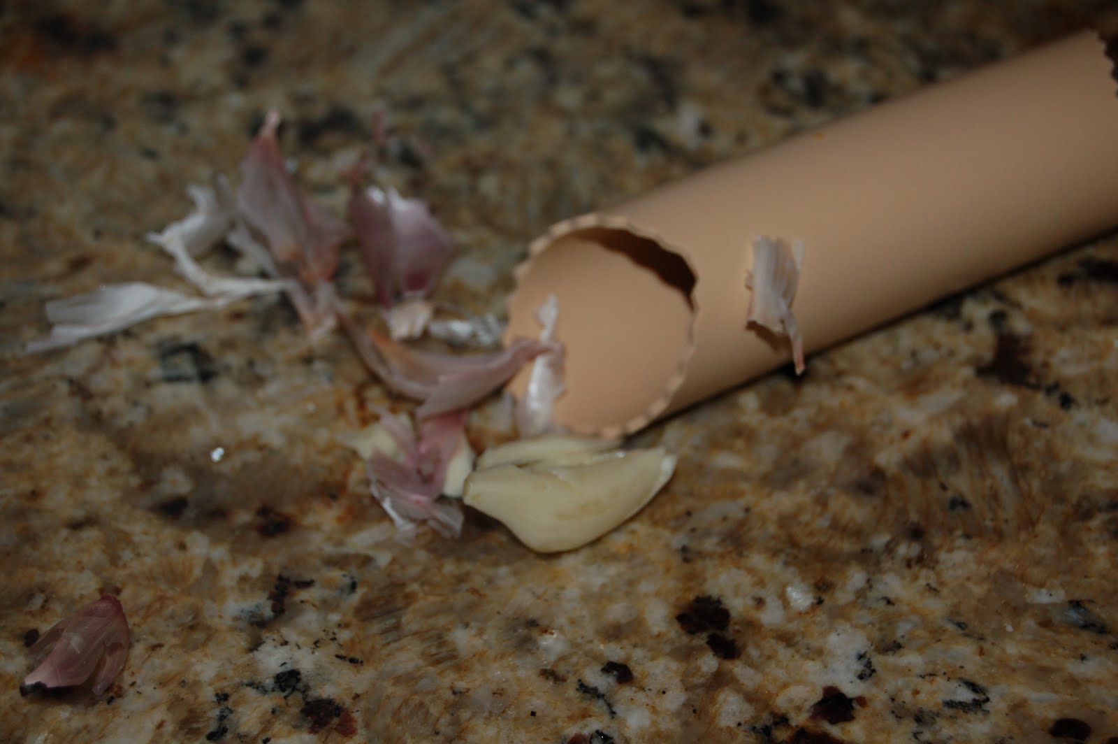 Deliciousness of Yum Tool Time Garlic Peeler Tube