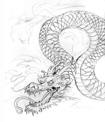 tattoo dragons. The sketch of the dragon is