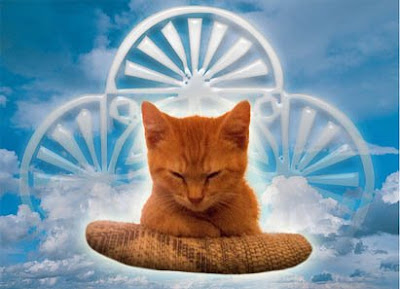 The Sick Mind & Degenerate Mentality of Eternalspirit-aka-Positive Forward Spiritual+cat