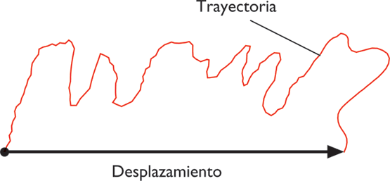 external image TRAYECTTORIA.png