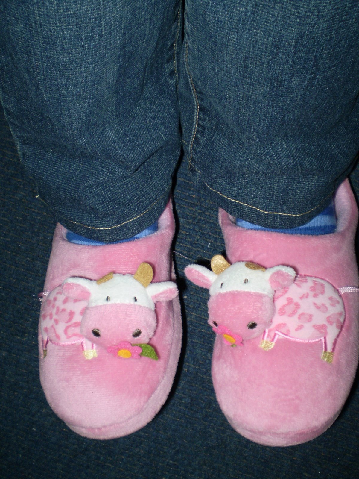 [P8010006.JPG]