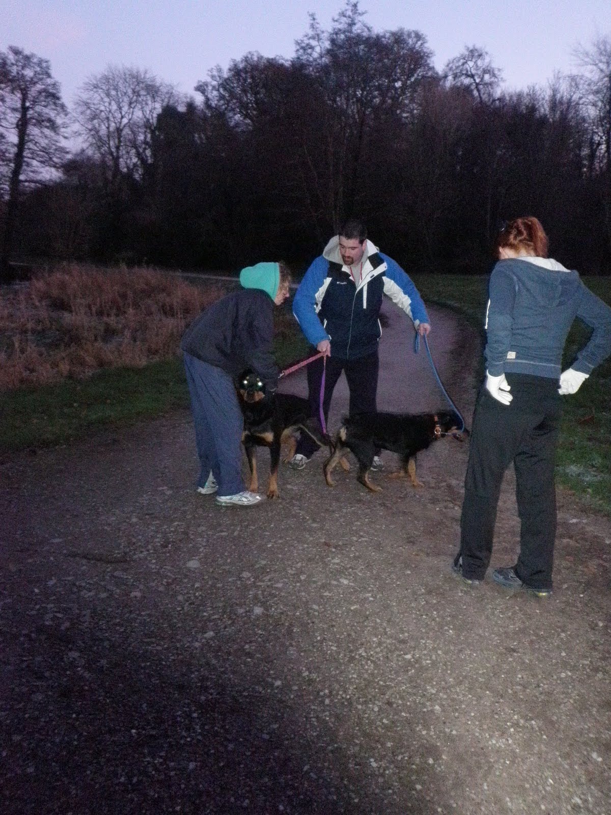 [PC182532.JPG]