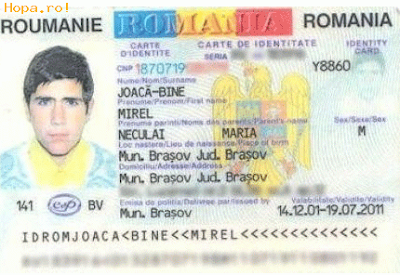 joaca-bine mirel