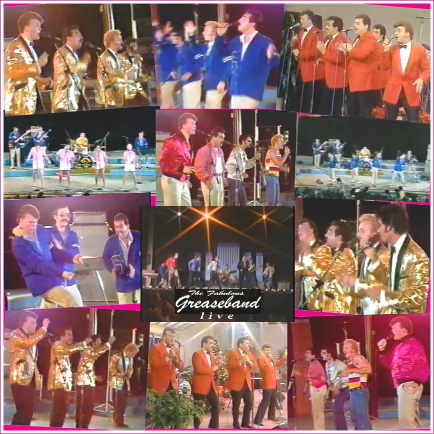 Rock And Roll Revival The Fabulous Greaseband