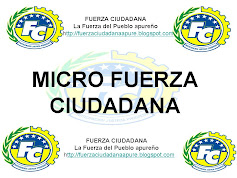 Micro Musical Fuerza Ciudadana