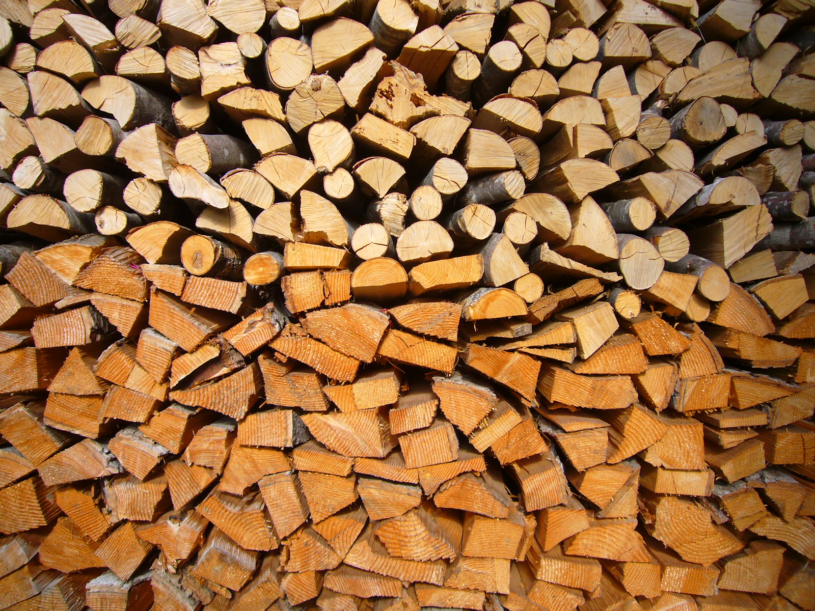 [4Haldenstein+Zumthor+office+(11).JPG]