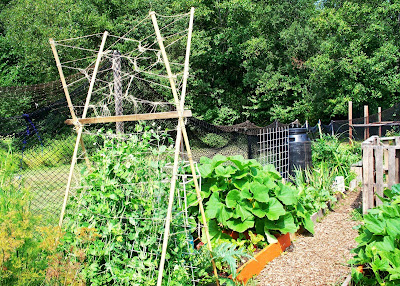 Twine Trellis