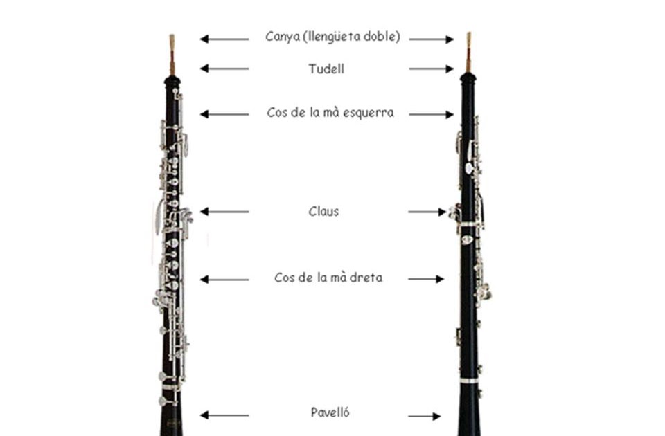 Ex alumnes 1213 L'oboè i les seves parts