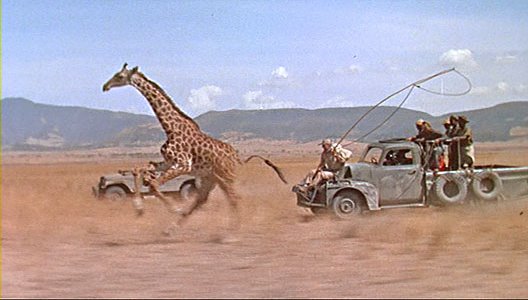 [Hatari+3.jpg]