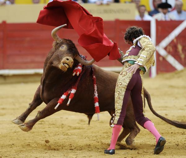 Jose Tomas Bullfighter