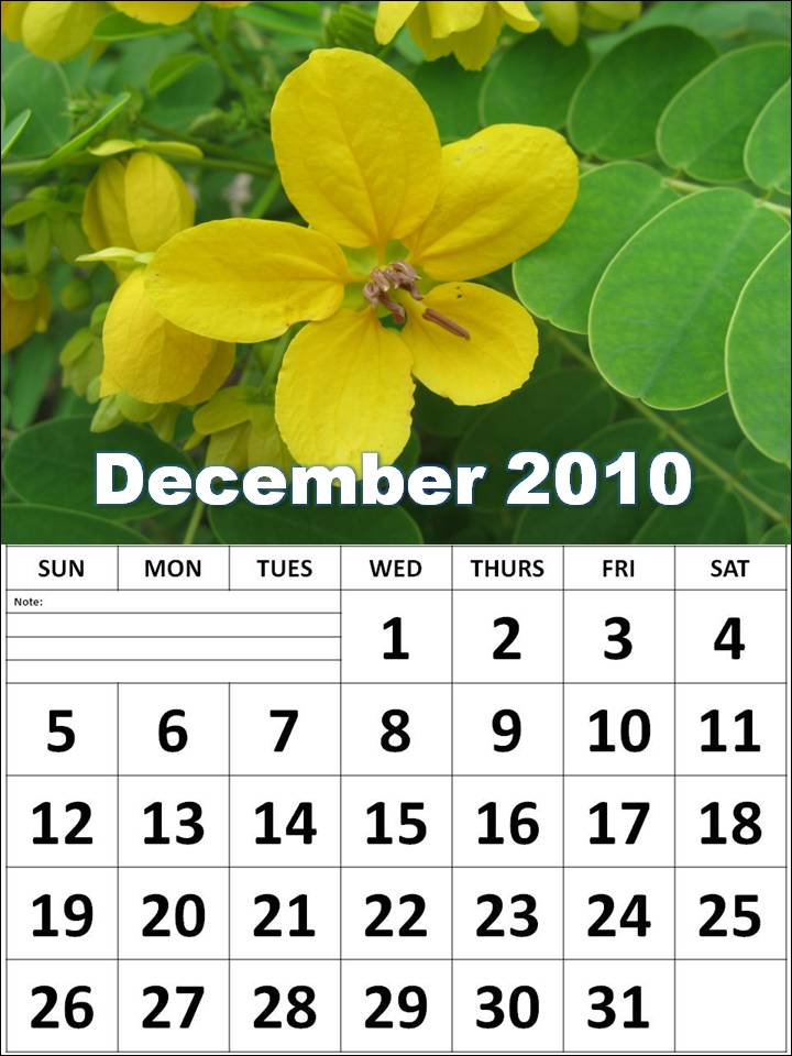 calendar 2010 december.December calendar 2010 for