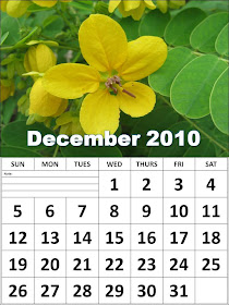 free wallpaper of flowers. calendar 2010 for free For