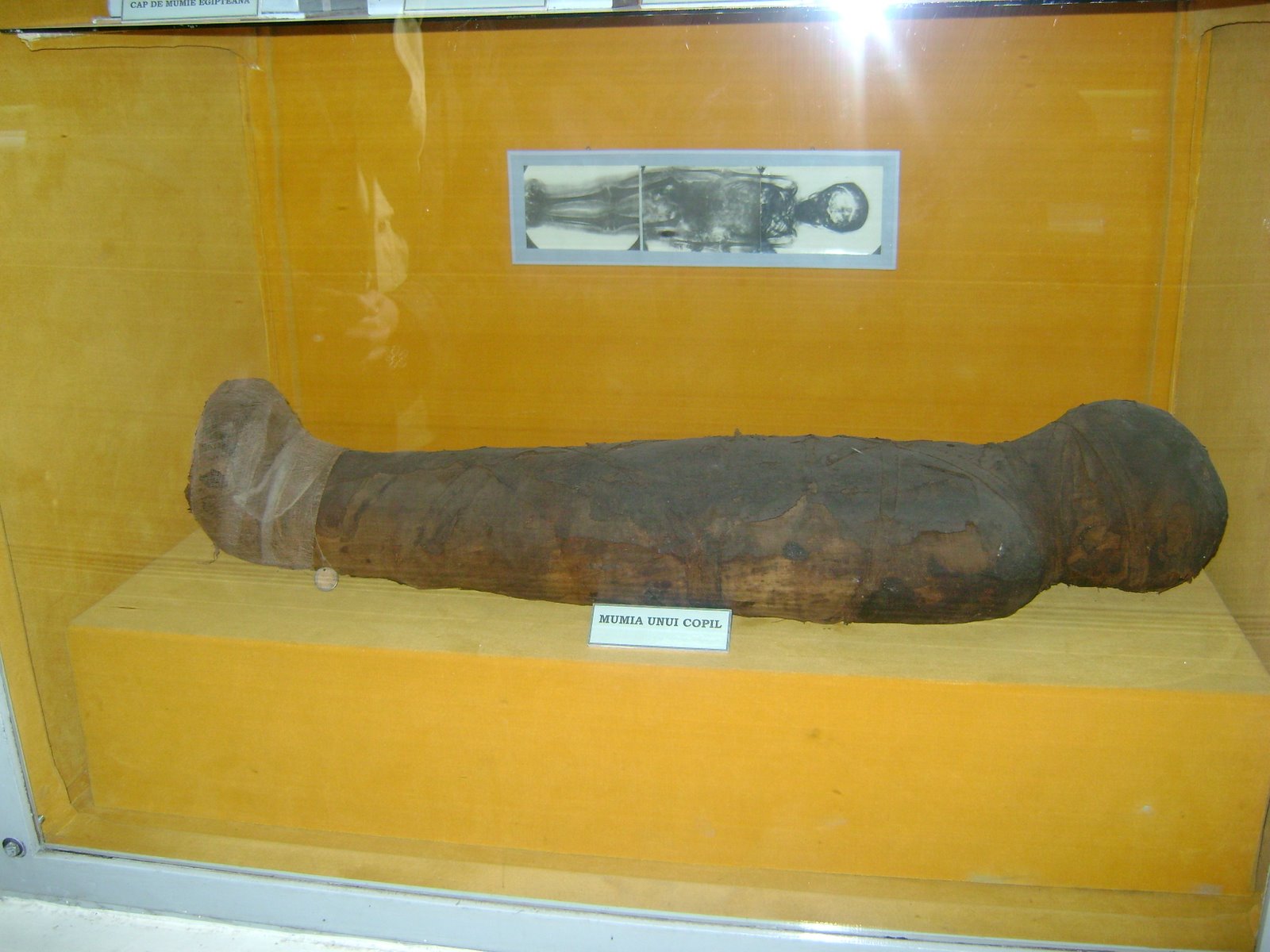 [antipa63.JPG]