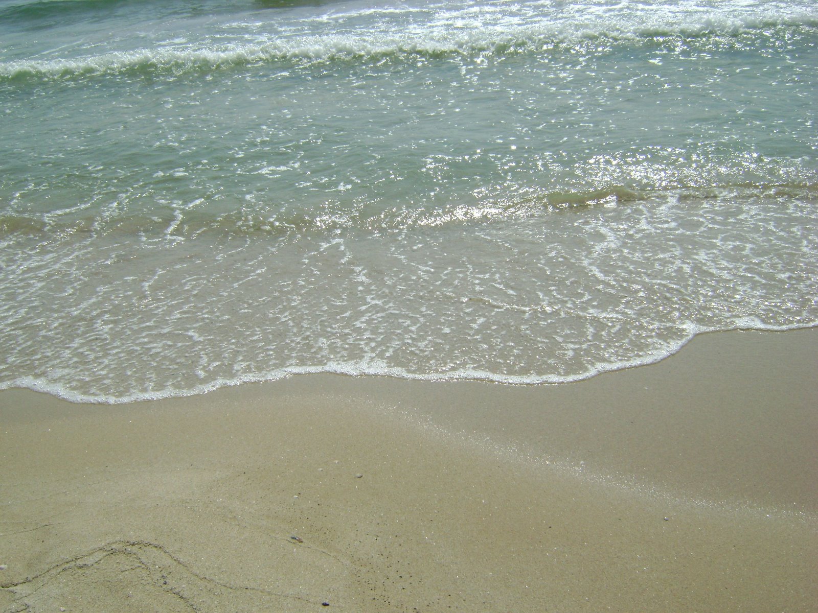 [DSC01973.JPG]