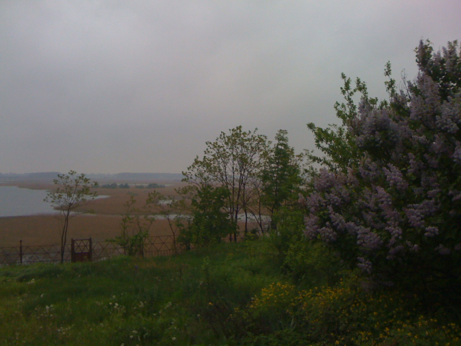 [IMG_0289.JPG]