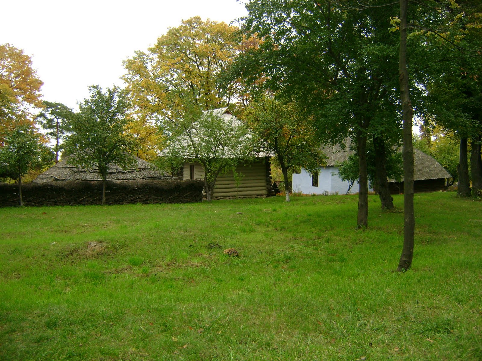 [DSC03810.JPG]