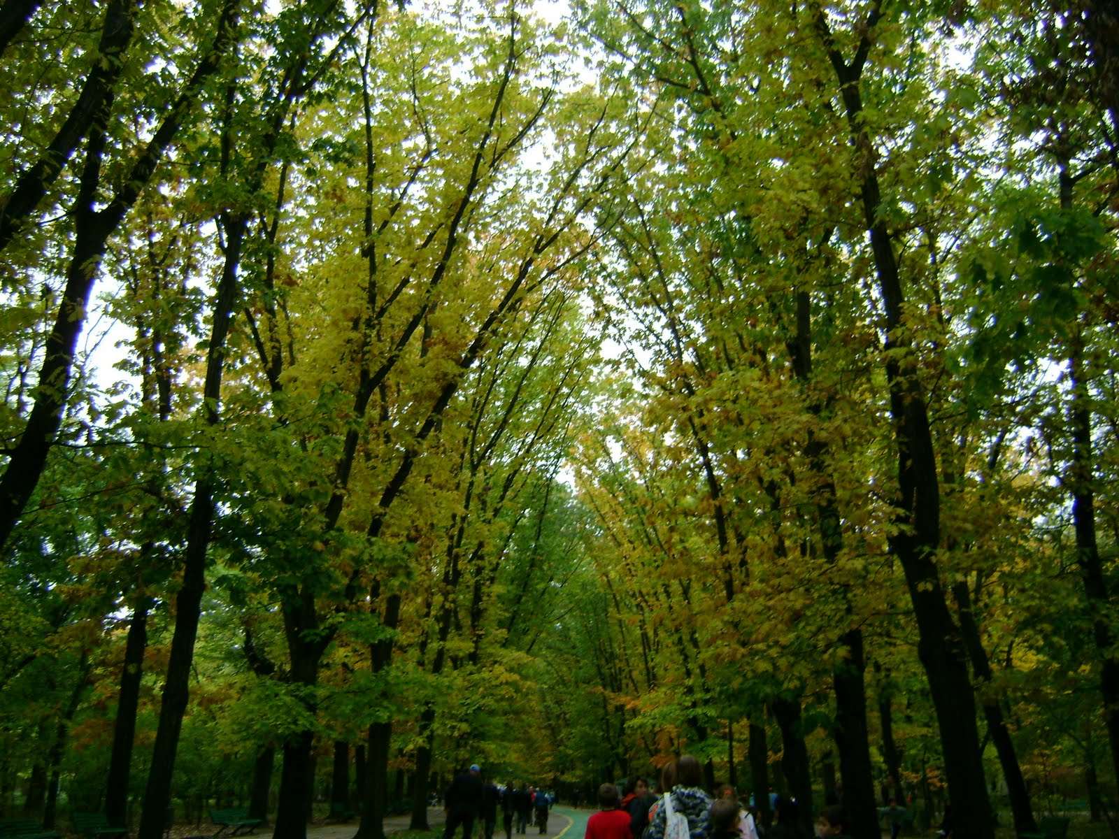 [DSC03876.JPG]