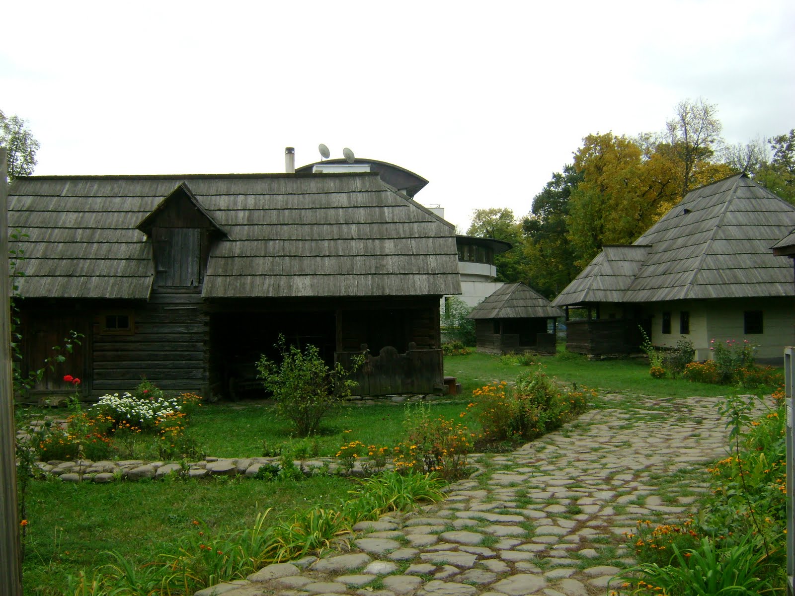 [DSC03815.JPG]