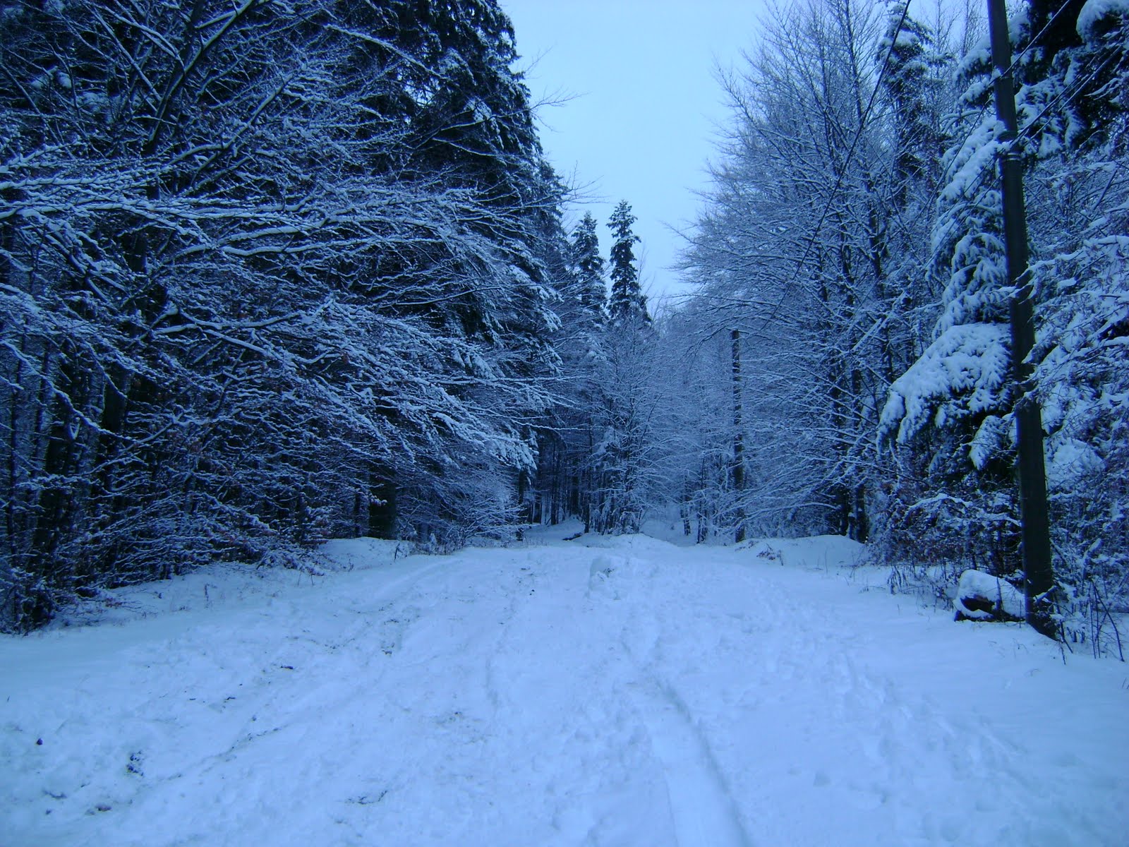 [DSC04082.JPG]