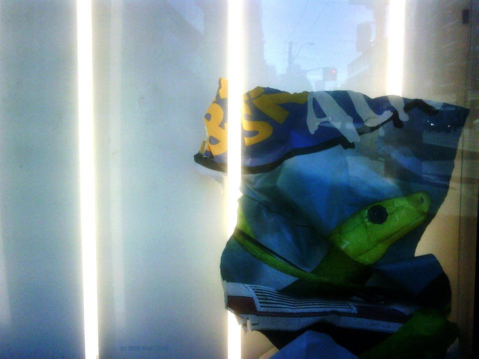 [IMG00361-20090622-0959_a+small.jpg]
