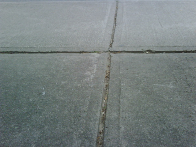 [=?utf-8?B?SU1HMDA1MDAtMjAwOTA4MjMtMTQzNC5qcGc=?=-710179]