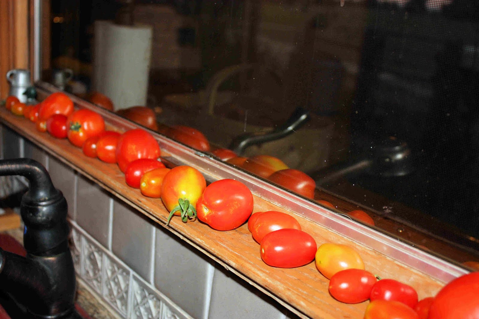 Musings from the Texas Hill Country Harvesting and Preservation