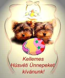 [yorki_husvetra.gif]