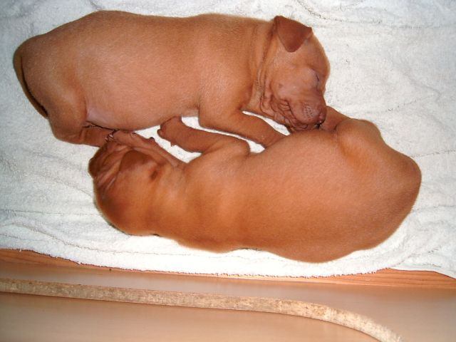 [!cid_image005.jpg@01CA112D[1]]