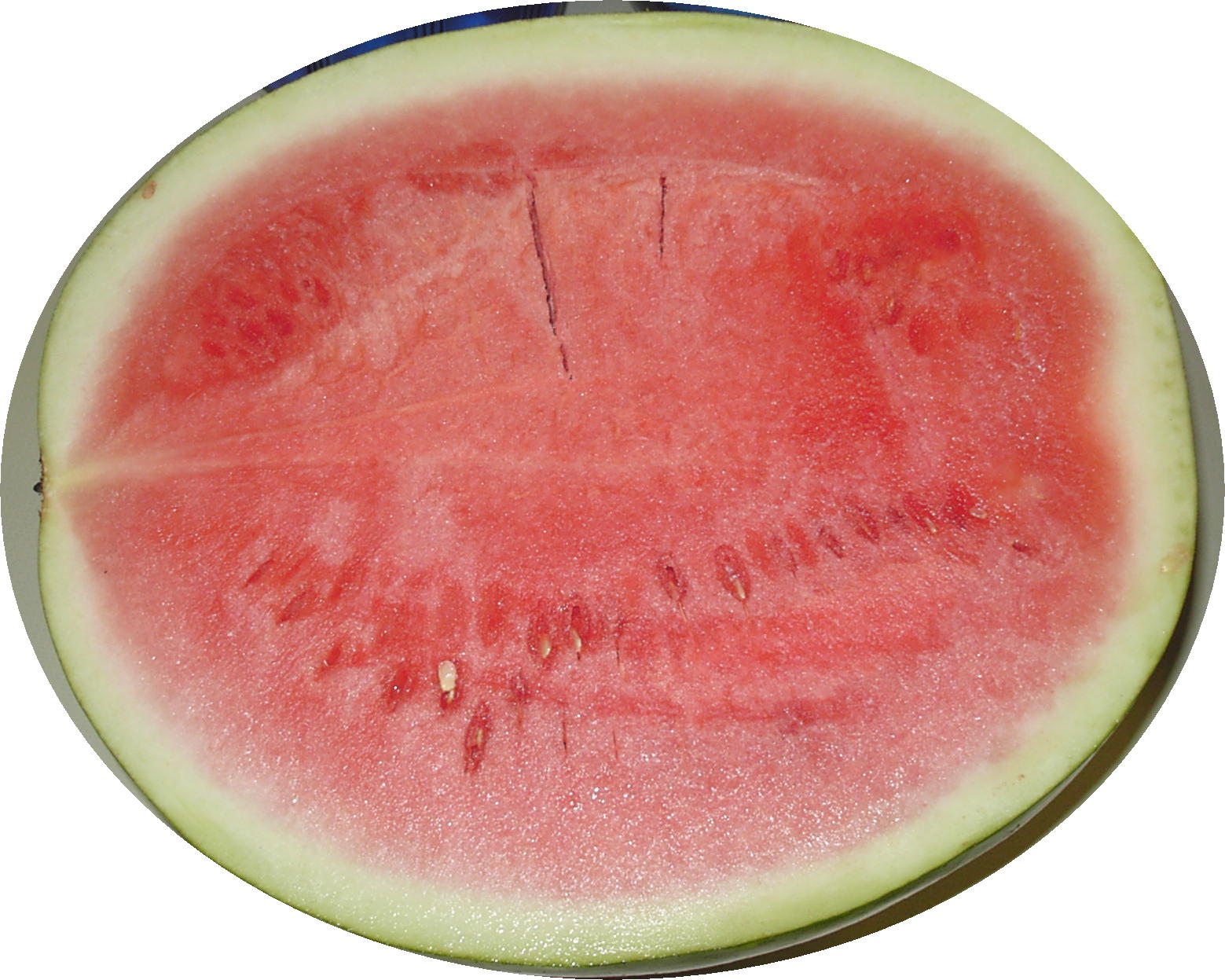 [1st+melon+07.jpg]