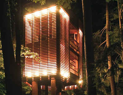 4 Tree house (2) 1
