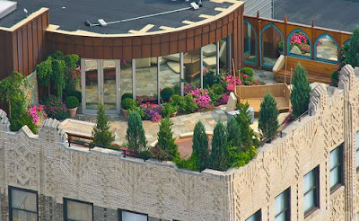Roof Tops Of Rich People (6) 6