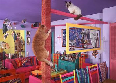Cat-Friendly House Design - Part: 2 (9) 1