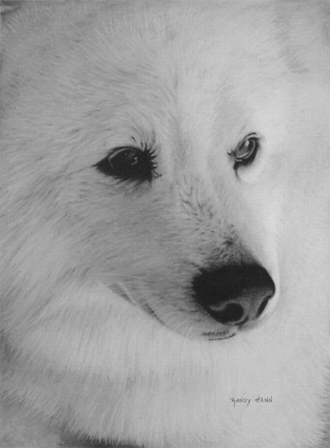 30 Photorealistic Pencil Sketches and Portraits.