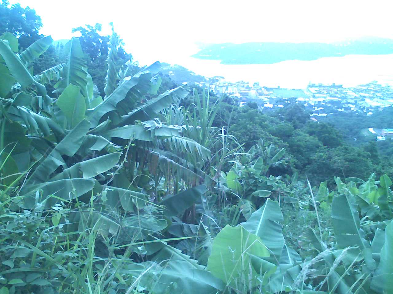 [PIC-0308-750404.jpg]
